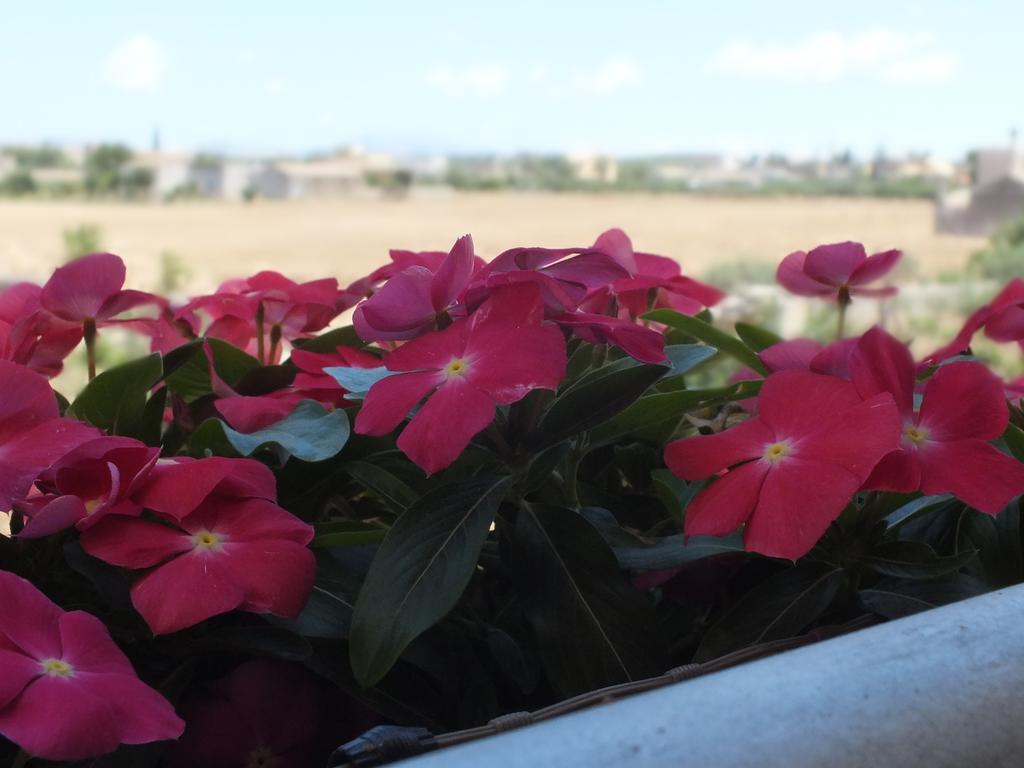 Bed and Breakfast Siciliantica Rilievo Exterior foto